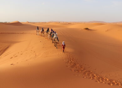 60.  Visit the Sahara desert